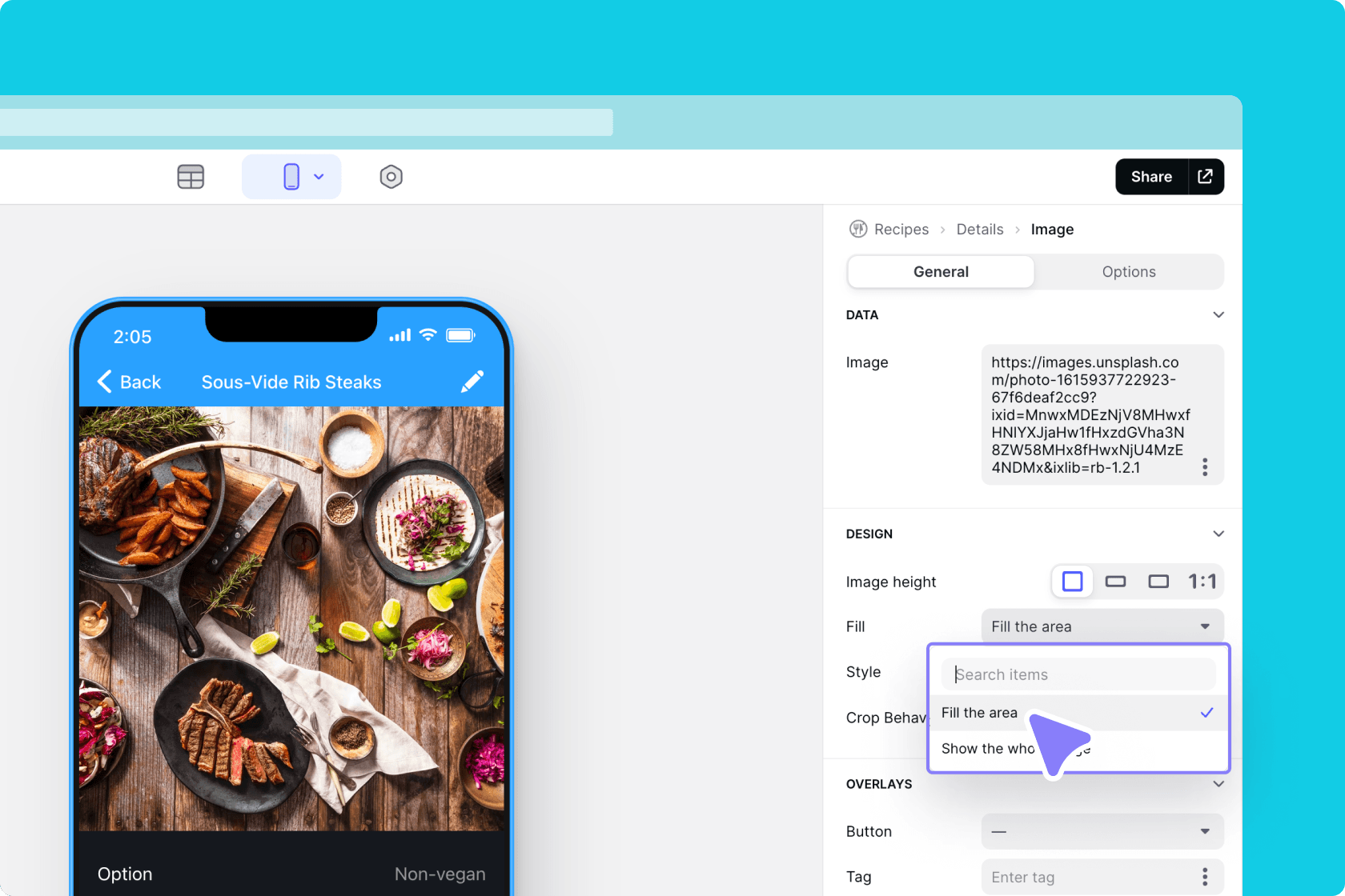 Editing the fill style in the Image Component