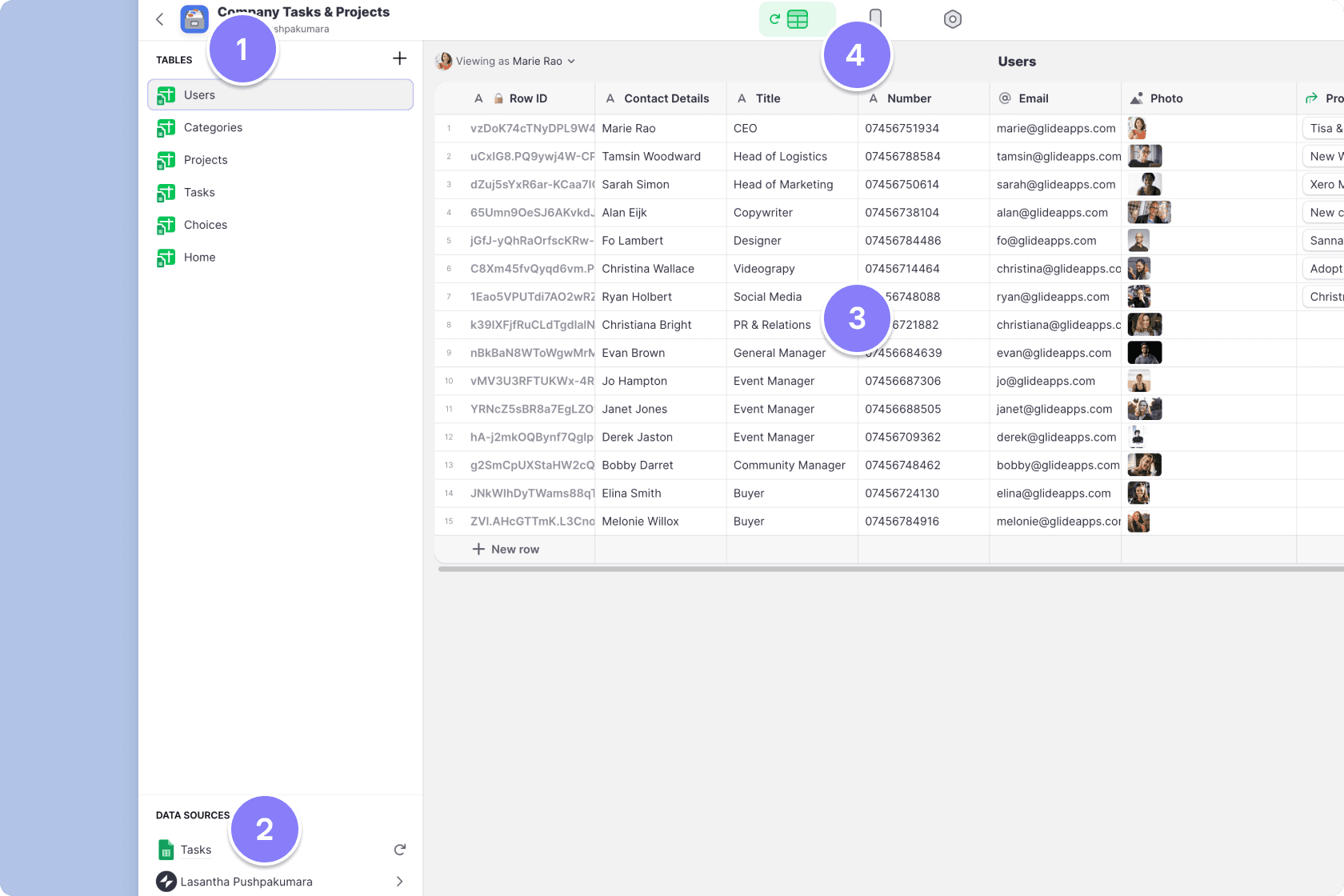 The Data Editor