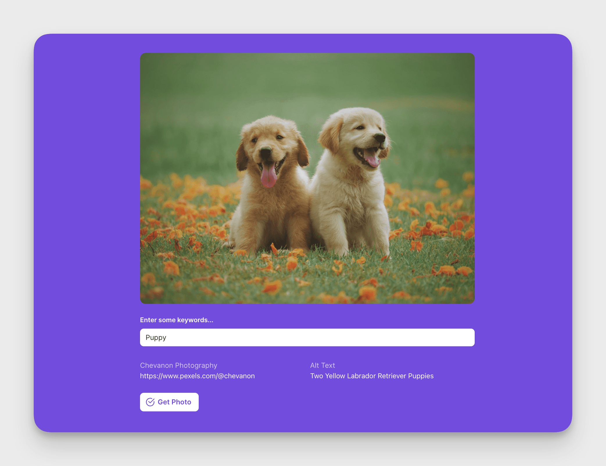 Using an image from Pexels in a Glide app 