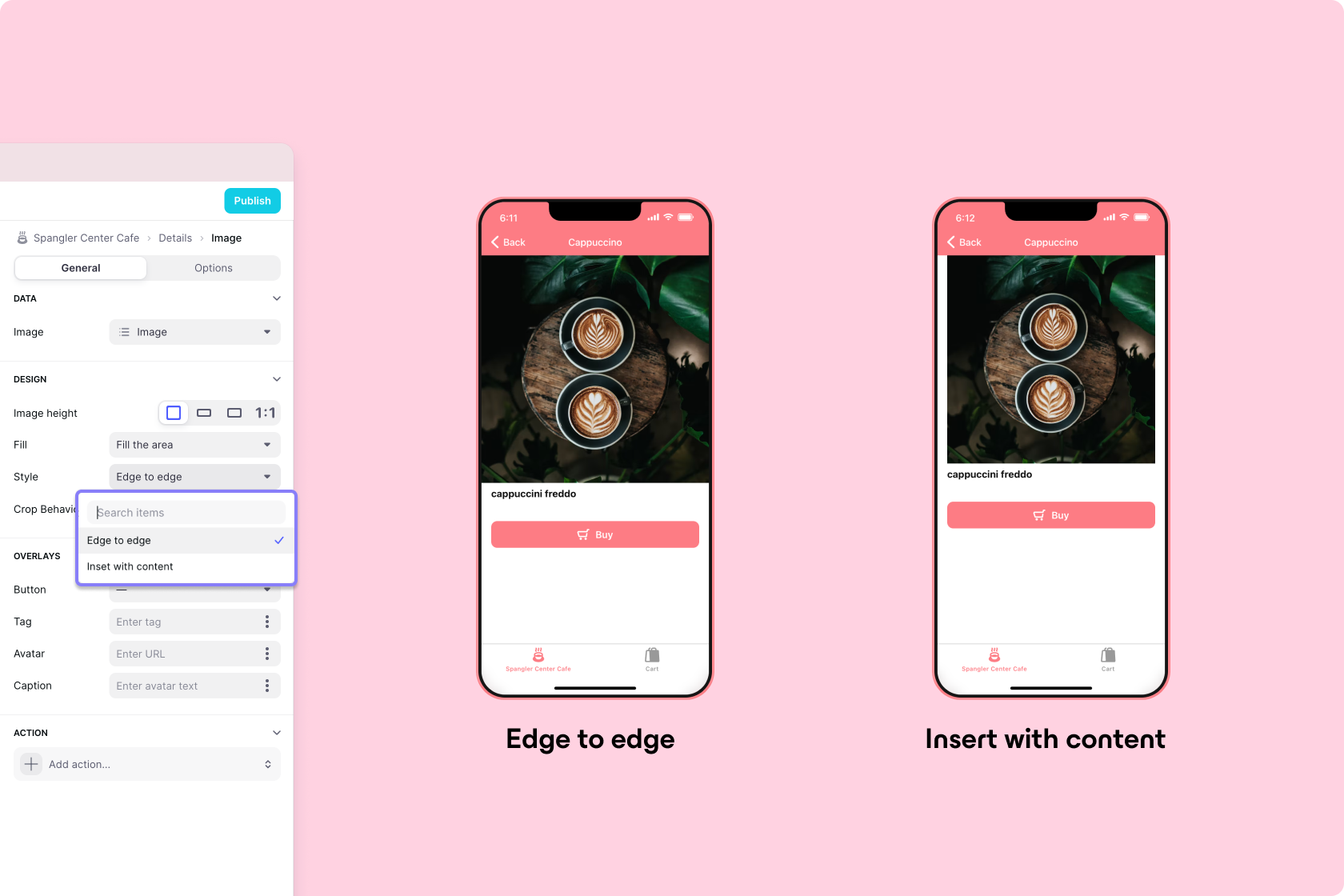 The style settings in the Image Component