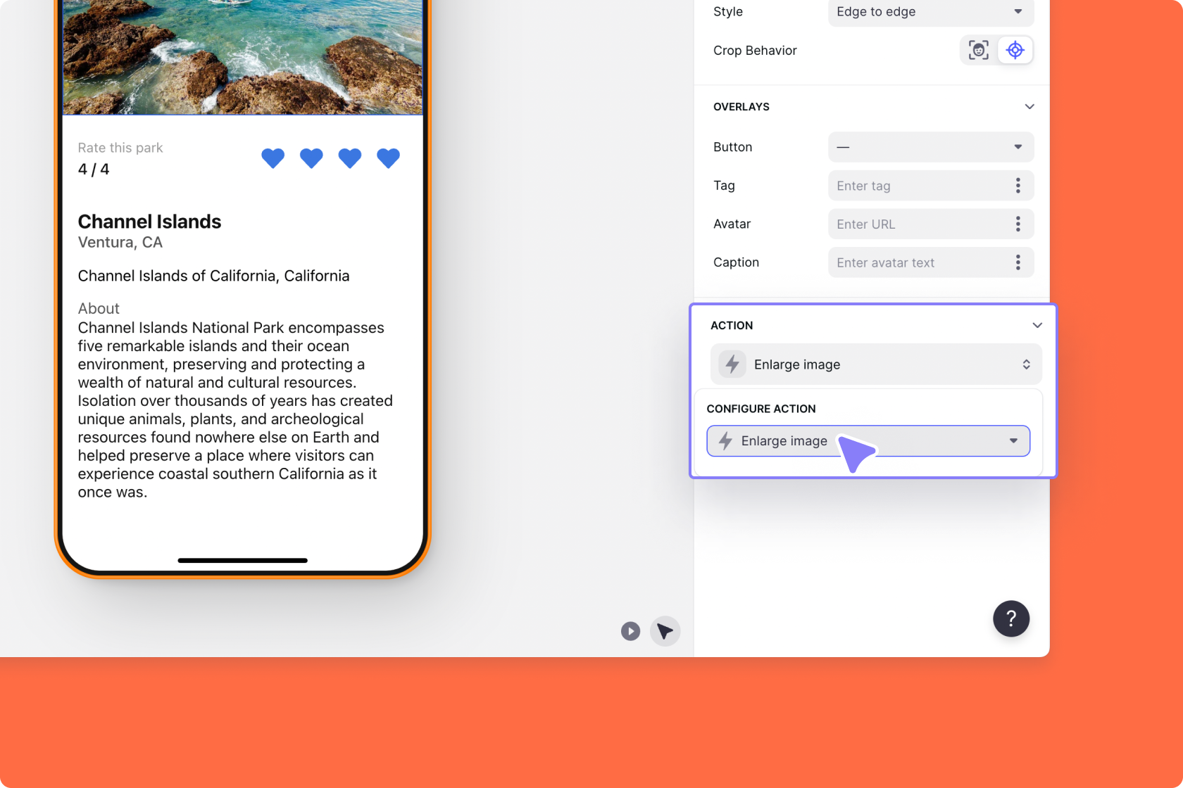Adding an action to the Image Component