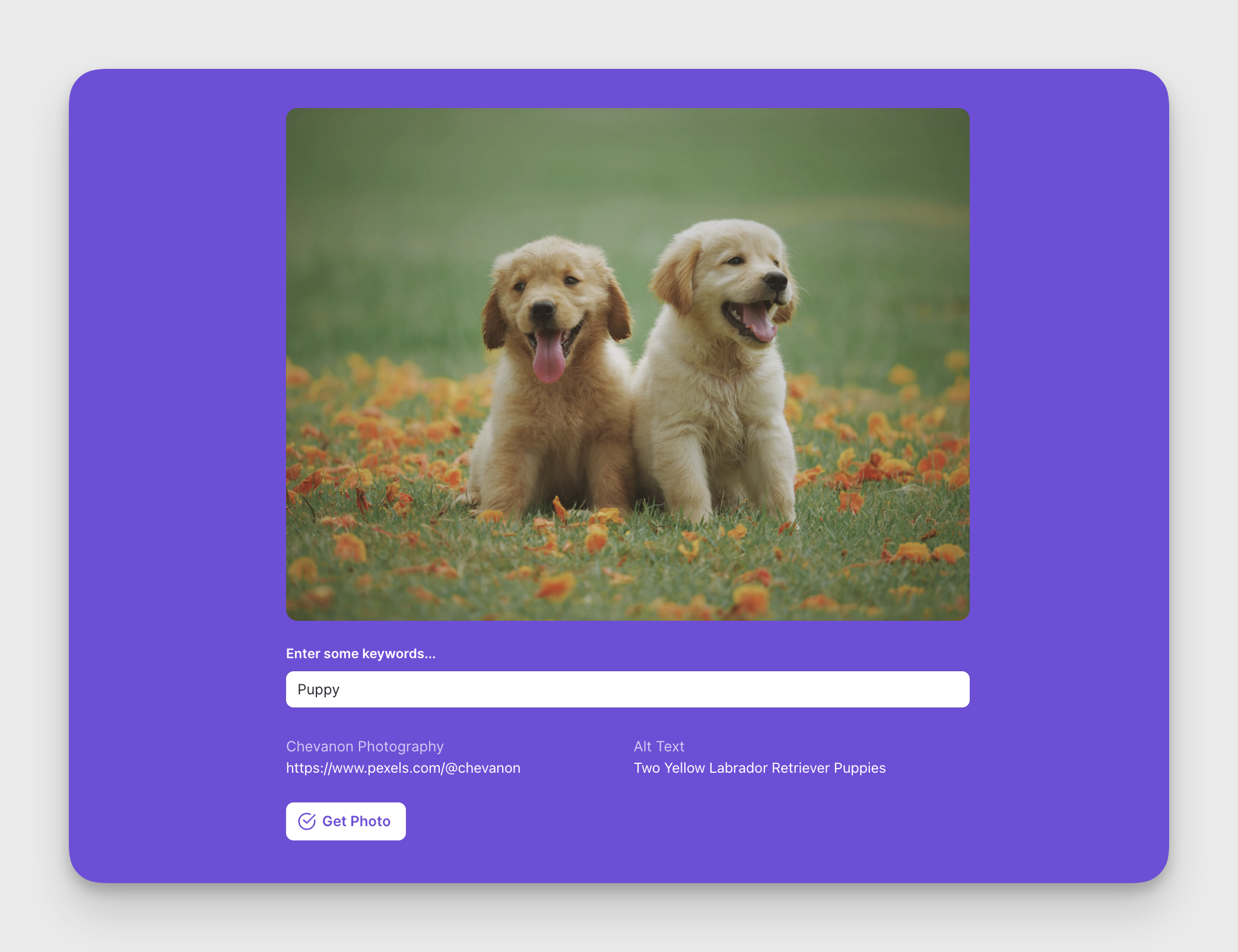 Using an image from Pexels in a Glide app
